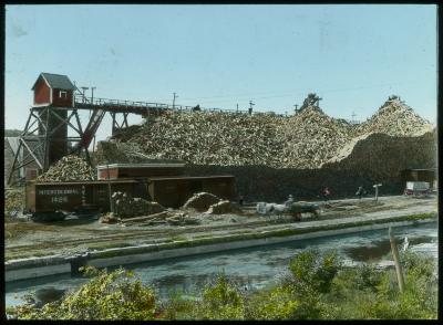 Huge Pile of Pulp Wood; Conveyor and Railroad Cars. International Paper Co.