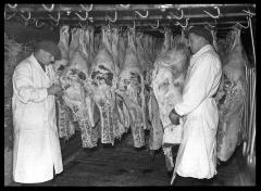 New York City. Unloading beef from refrigerator cars for Cudahy Meat Packing Company's Wholesale House on 134th Street