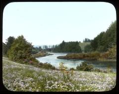 Herons nesting and feeding grounds. New Berlin, N. Y.