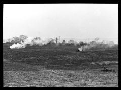 European corn borer infestation, burning stalks. Scotia, N. Y.