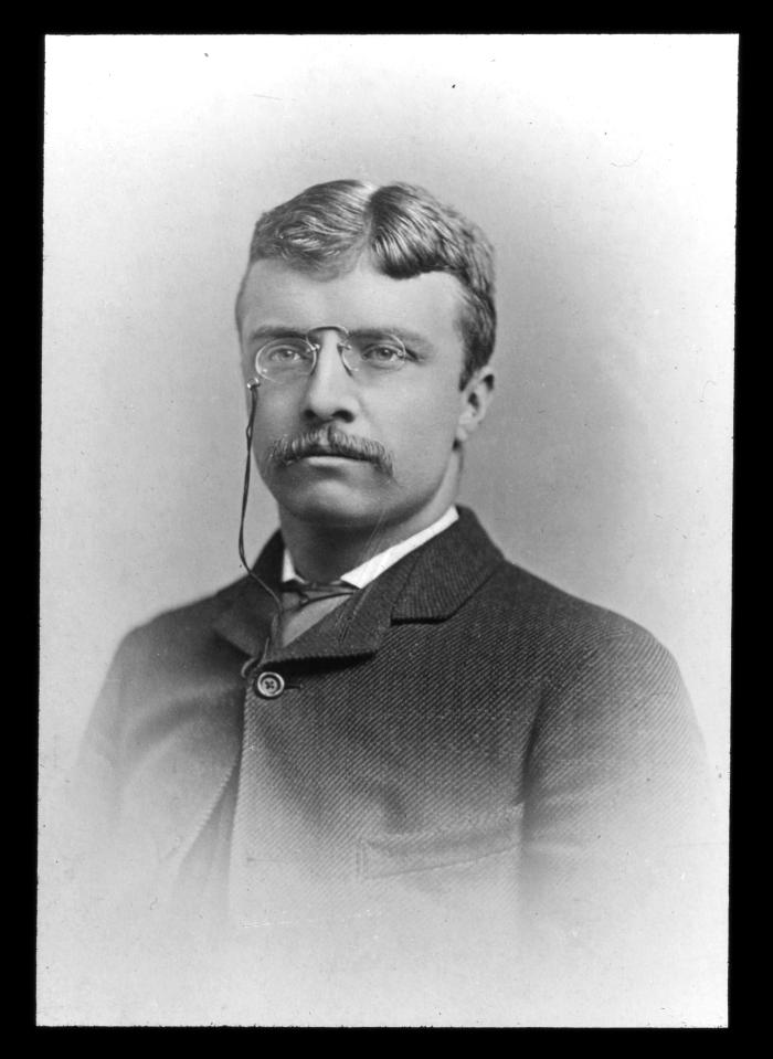 Theodore Roosevelt as Assemblyman