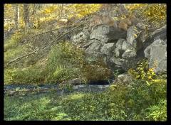 A small spring near Kinderhook Creek Bridge in the vicinity of Malden Bridge, N. Y.