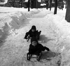 Down the Hill on Sleds