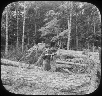 Filing a Saw in Camp