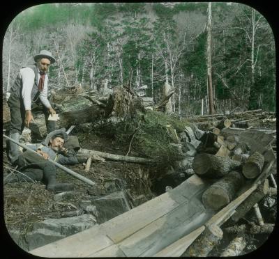 Lumber slide - caught napping