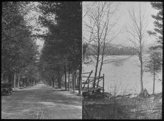 Comparison of Foliage (study of climate), Two Views Made the Same Date