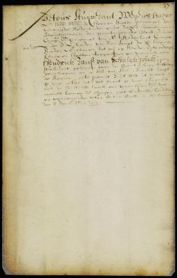 Patent of Hendrick Jansen van Schalckwyck for land across the North river (New Jersey)