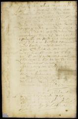 Patent of Cornelis Theunissen for land on Long Island