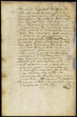 Patent of Jan Martensen for land on Long Island
