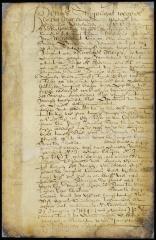 Patent of Nicolaes Meyer for several parcels of land on Manhattan Island