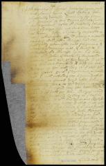 Deposition of Johannes d'Haes concerning a debt owed to him by John Briggs.