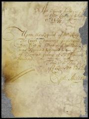 Order of a court held at New Castle declaring that William Young was reputed to be the eldest son of Thomas Young