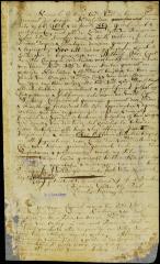 Commission of Cornelis Steenwyck to be member of the council