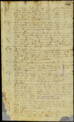 Privileges granted to the inhabitants of the South river (Delaware)