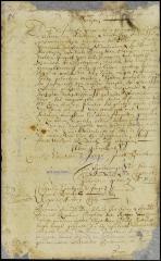 Answer granting petition of the schout, burgomasters and schepens of New Orange