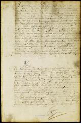 Names of the militia officers of New Orange and their oath