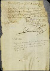 Report of referees as to the value of the ground allotted to Peter Stoutenburgh
