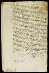 Declaration of Marritgie Symens regarding the trespass committed by schout De Milt