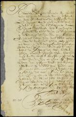 Declaration of Alexander Stultheer respecting a passageway between Mr. Steenwyck and Mr. Varrevanger's houses