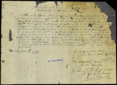 Petition of Nework, Elizabethtown and Piscattaway for a confirmation of their rights and possessions