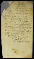 Petition of Jan Jansen Veryn for a letter of protection during his attendance on the gov. and council