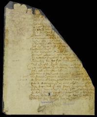 Petition of children and heirs of Cornelis Melyn concerning Staten Island