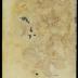 Complaint of the fiscal against James ———, sent from Flushing as a public disturber