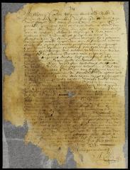 Patent of William van Vredenburgh for a lot in New Orange