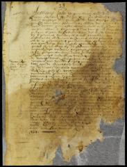 Patent of Gerrit Janse Roos for a lot in New Orange