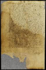 Patent of Peter Harmse for a house and lot in New Orange