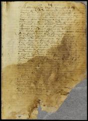 Patent of Peter Jansen Slodt for a lot in New Orange
