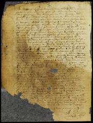 Patent of the Lutheran congregation for a lot in New Orange
