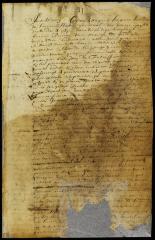 Patent of Jacobus van de Water for a house and lot in New Orange