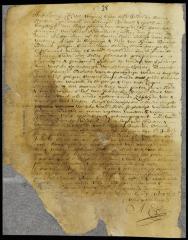 Patent of Simon Barentse Blanck for a lot in New Orange