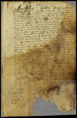 Patent of Martin Janse Meyer for a lot outside the city of Orange