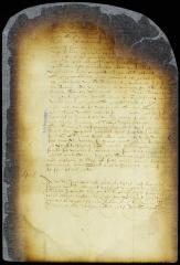 Order to the court messenger to serve the protest against certain parties settled at Matinnekonck