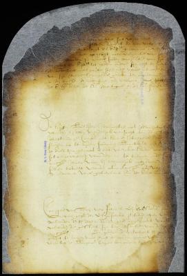 Sentence of Hendrick Jansen Grever, Martin Roseboom and others who had cut up and burnt a number of the city palisades