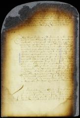 Appointment of Peter van der Linde tobacco inspector at New Amsterdam
