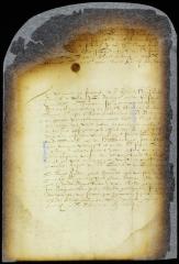 Appointment of P. Wolpherts van Couwenhoven as city surveyor