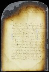 Proceedings in appeal of Allard Anthony, agent of Jacob Jansen Huys, vs. Peter Rudolphus