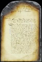 Letter from Jacobus van Curler and other Dutch settlers to the director and council