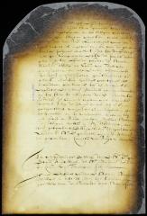 Resolution to retain letters addressed by the directors in Holland to the several courts and colonies in New Netherland