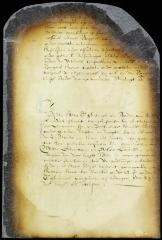 Appointment of Wessel Gerritsen and Pieter Lourissen to be pilots to the expedition against the Swedes