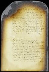 Call for volunteers for the expedition against the Swedes