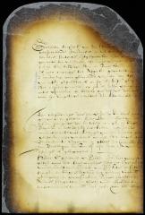 Order refusing a writ of appeal in the case of Jan Hendricksen Steelman vs. Thomas Saul