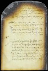 Minute of the appearance before the council of Stephen Necker