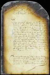 Resolution to add burgomasters Anthony and Cregier to the council during the director's absence