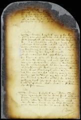 Order on a petition of Jan Hendricksen Steelman for a patent for a piece of land purchased from Francis Douthey
