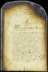 Petition of the burgomasters for the appointment of orphan masters in New Amsterdam