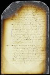 Order on the representation of the delegates from Fort Orange and Beverwyck
